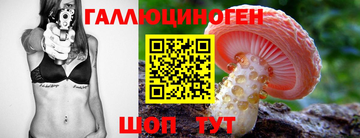Шебекино  Галлюциногенные грибы Psilocybe  Вход с VPN 